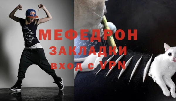 тгк Нея