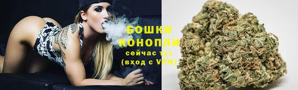 спиды Новодвинск