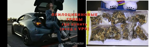мет Новозыбков