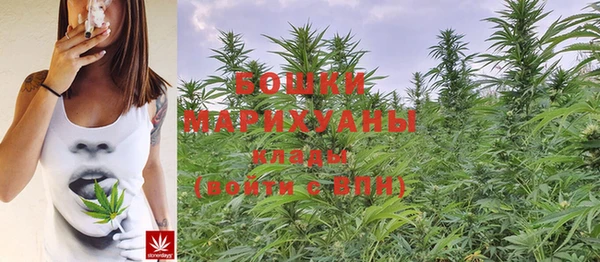 мет Новозыбков