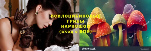 индика Нефтегорск