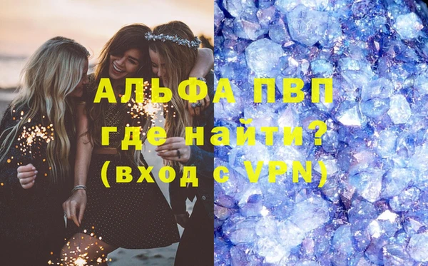 спиды Новодвинск