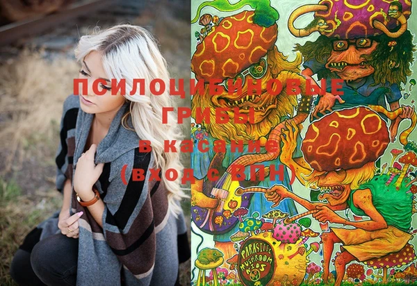 гашиш Новокубанск