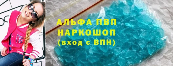 спиды Новодвинск