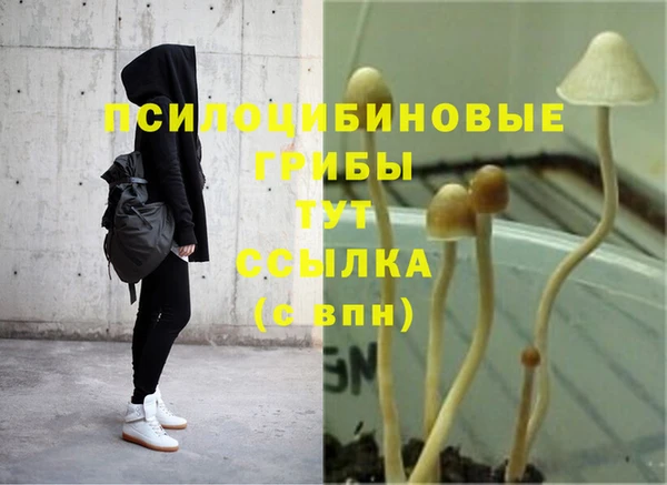 mdma Нефтекумск