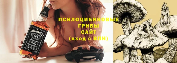 мет Новозыбков