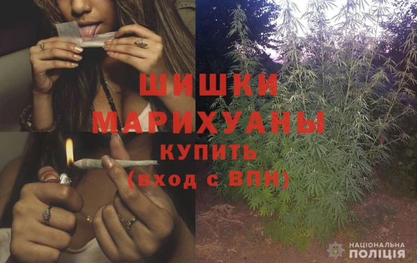 мет Новозыбков