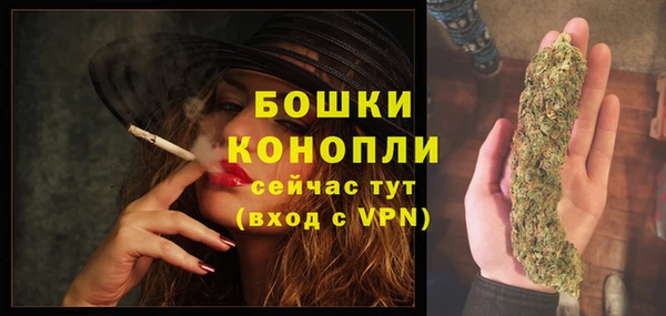 тгк Нея