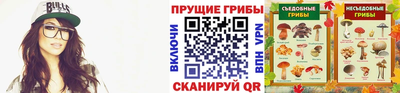 Псилоцибиновые грибы Magic Shrooms  Зубцов 